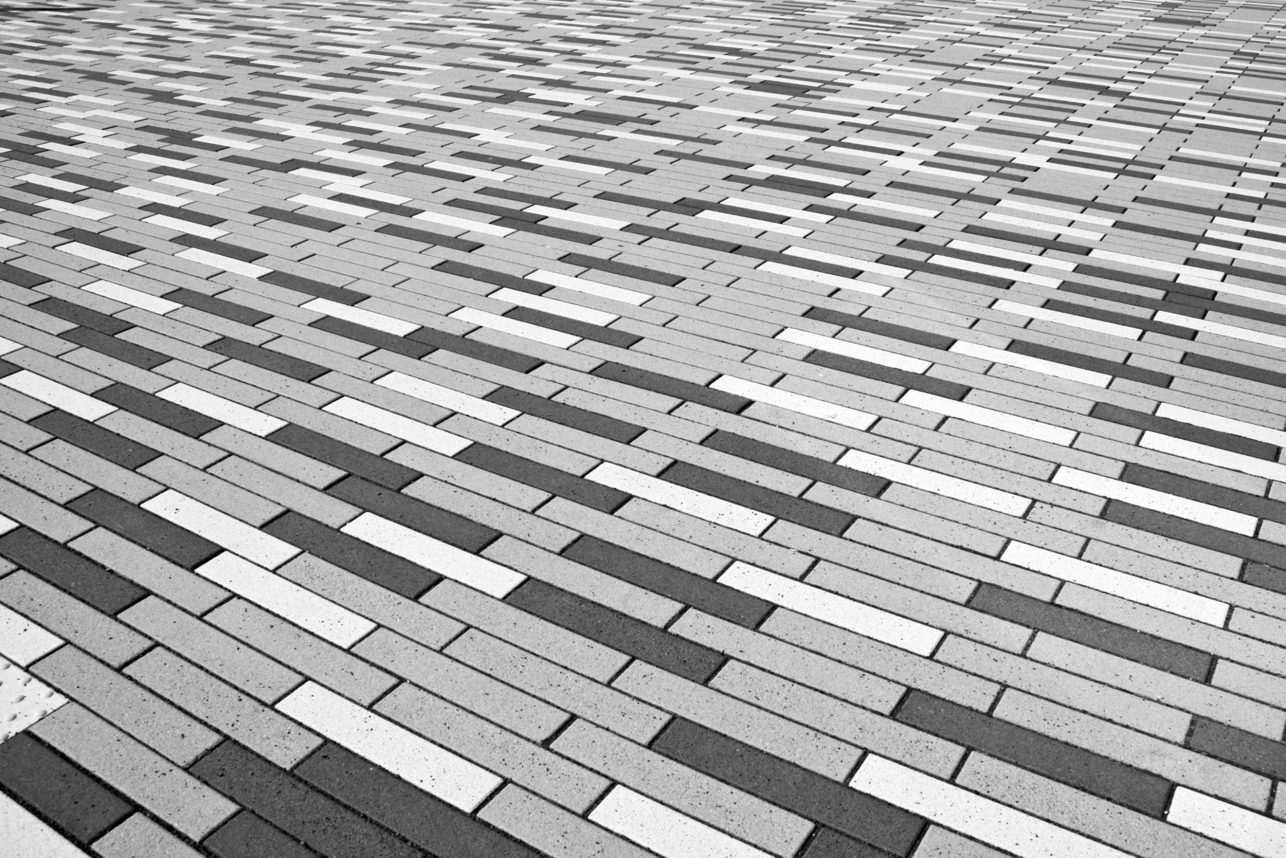 pexels-pixabay-220177 pexels-pixabay-220177